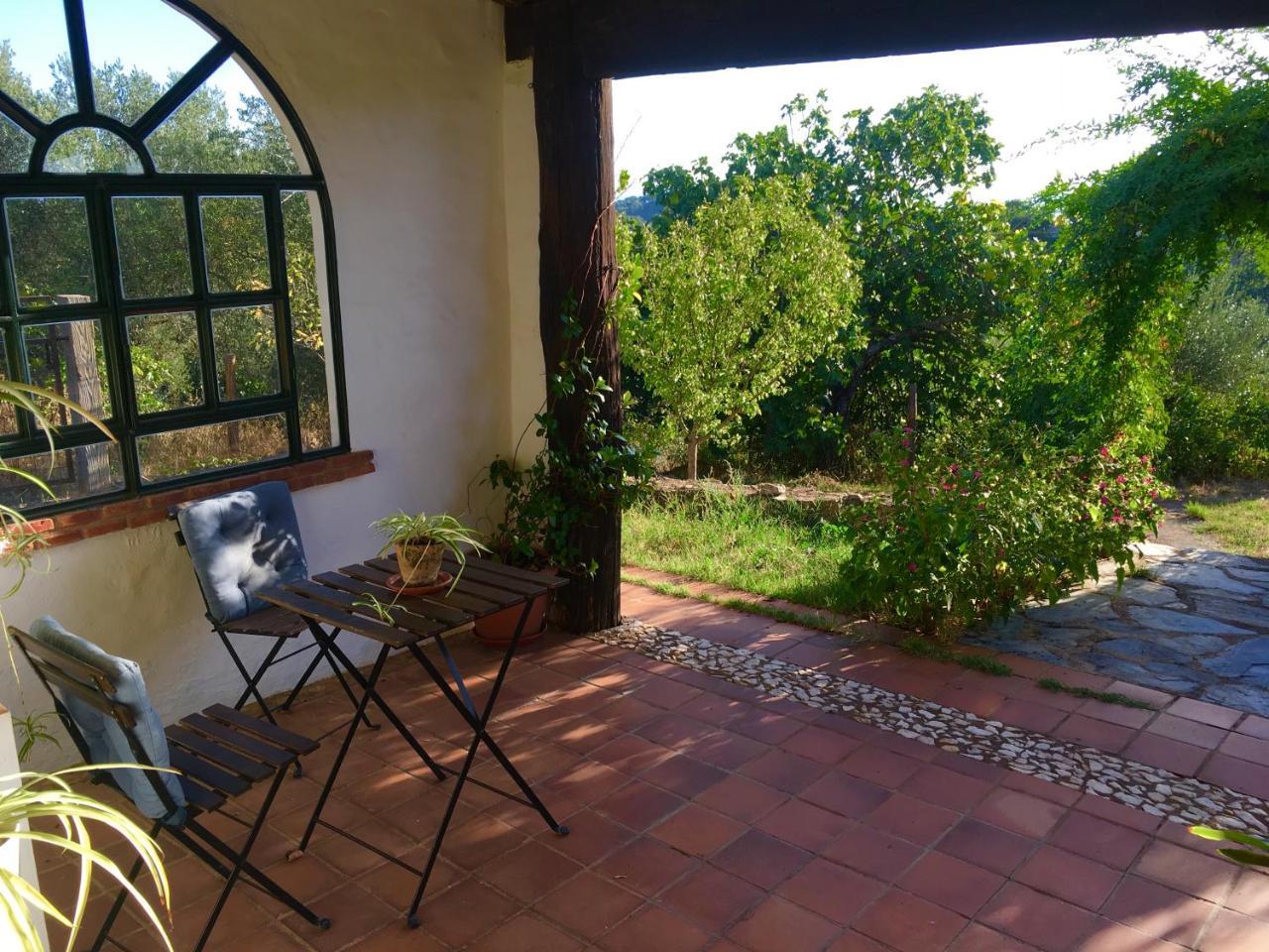 Finca Horno De Cal Αραθένα Εξωτερικό φωτογραφία