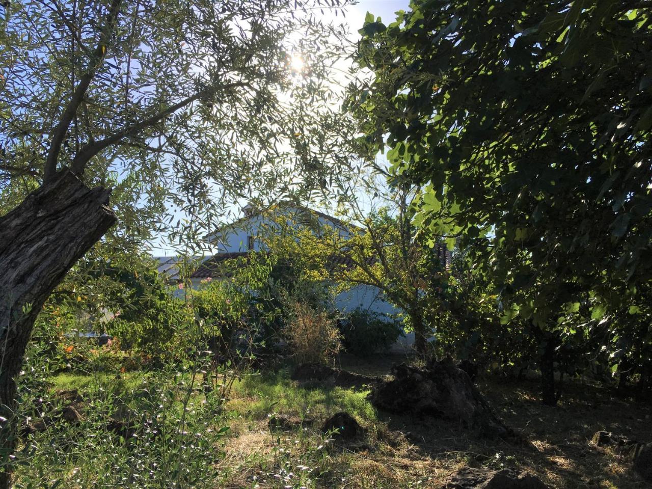 Finca Horno De Cal Αραθένα Εξωτερικό φωτογραφία