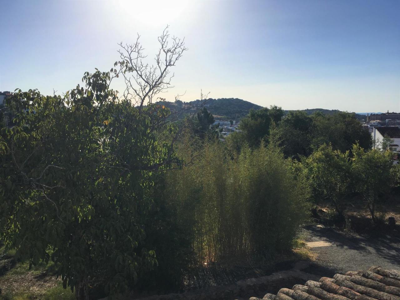 Finca Horno De Cal Αραθένα Εξωτερικό φωτογραφία