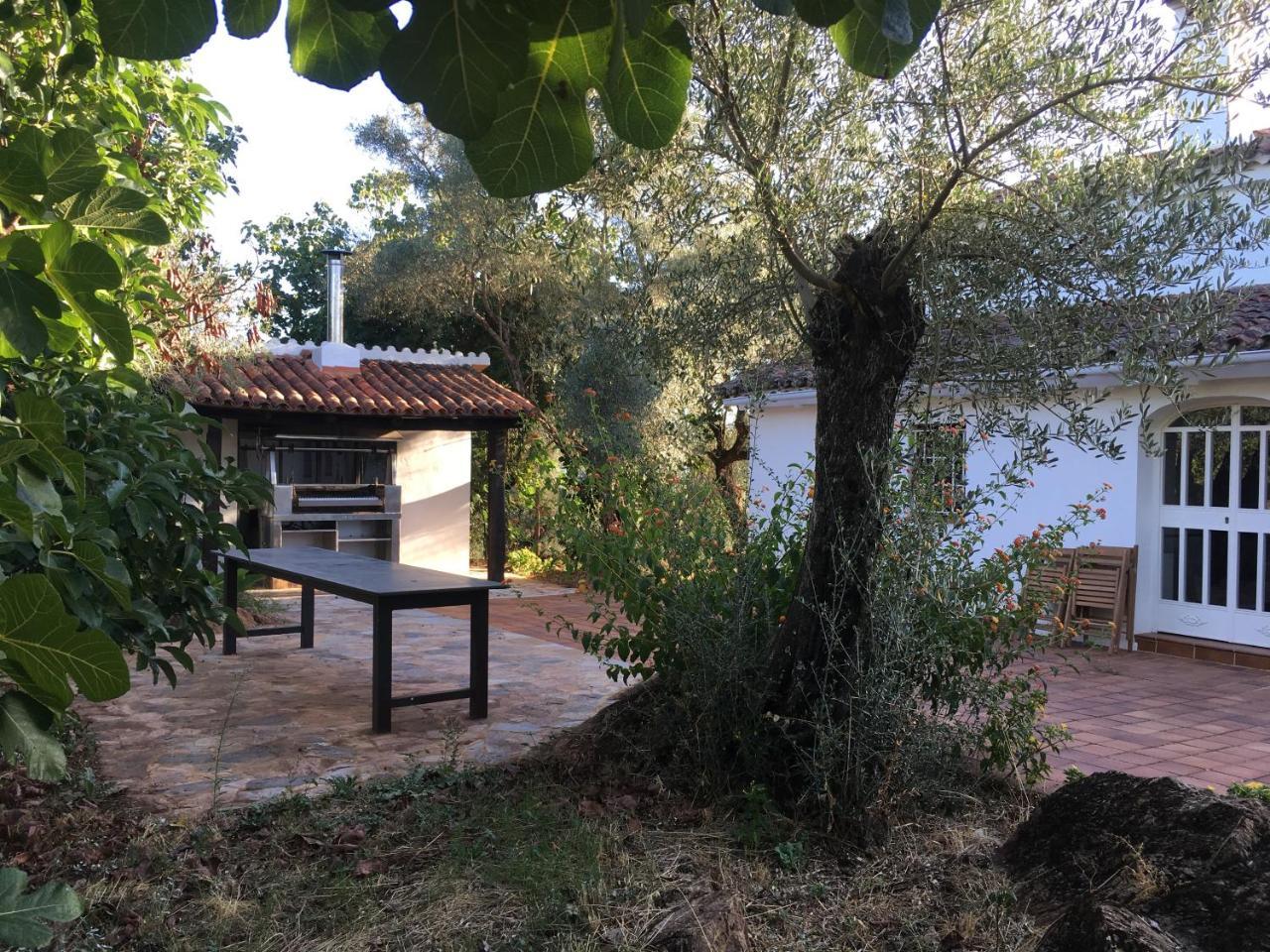 Finca Horno De Cal Αραθένα Εξωτερικό φωτογραφία