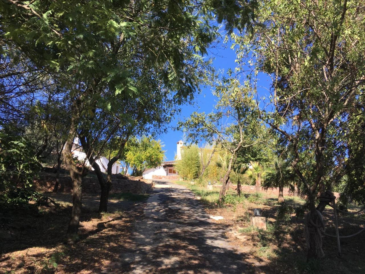 Finca Horno De Cal Αραθένα Εξωτερικό φωτογραφία